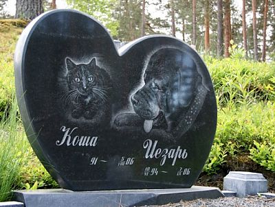 Похороны животных
